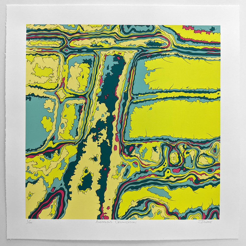 Anomalous Organization Regular Edition limited edition screen print by John Dobbie