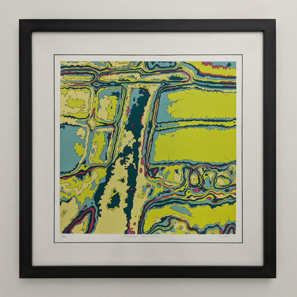 Anomalous Organization professionally framed