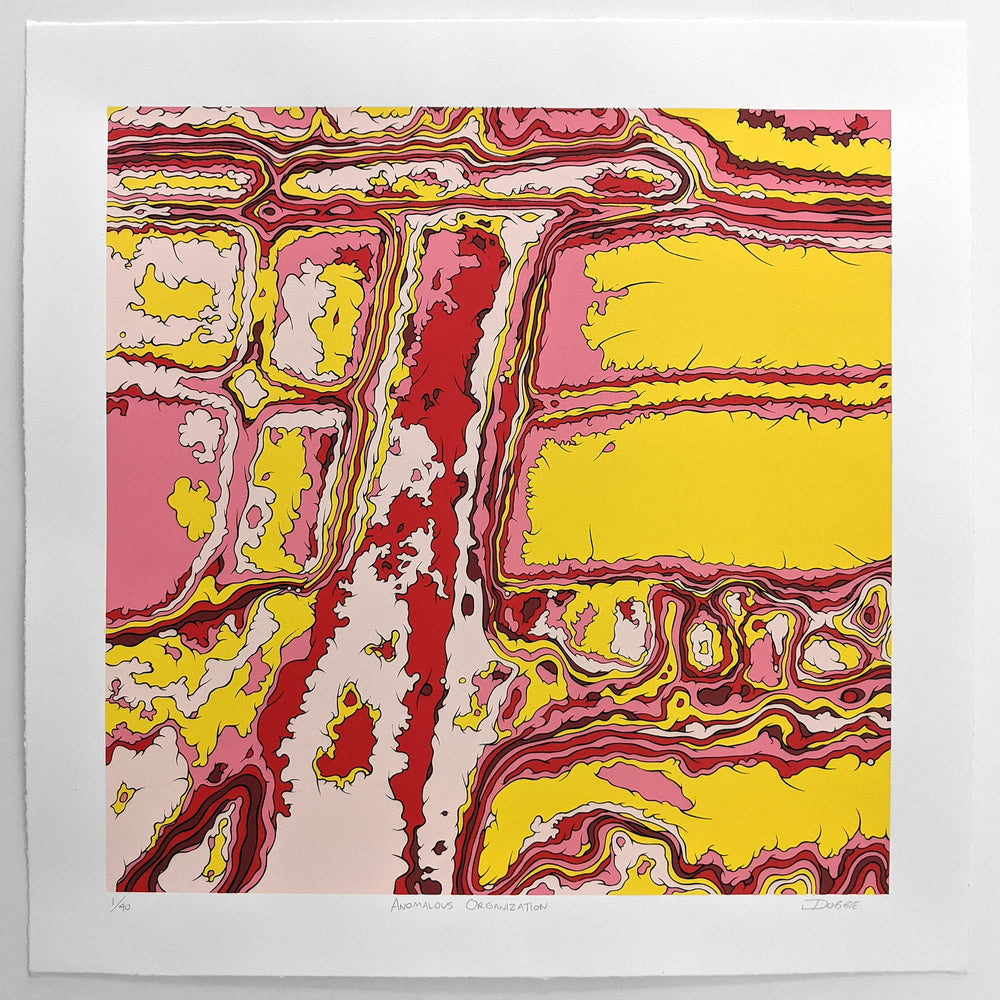 Anomalous Organization Variant One Edition limited edition screen print by John Dobbie