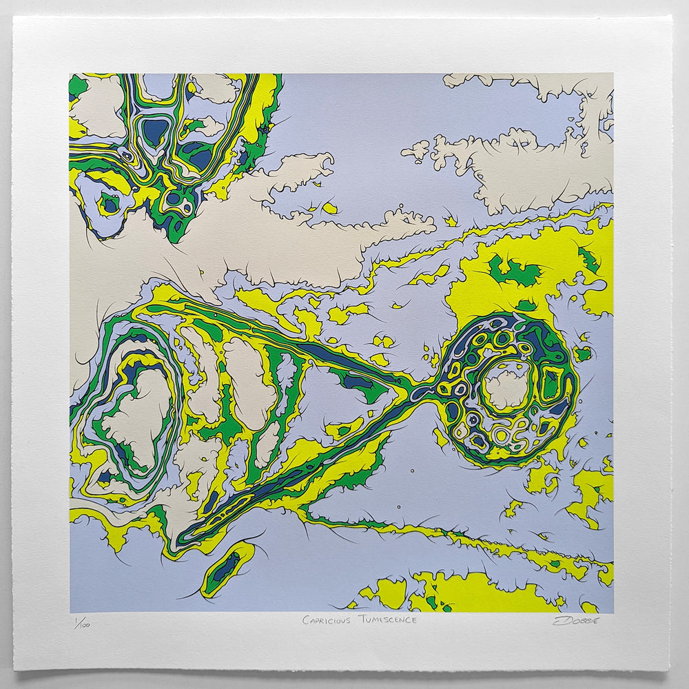 Capricious Tumescence Regular Edition limited edition screen print by John Dobbie