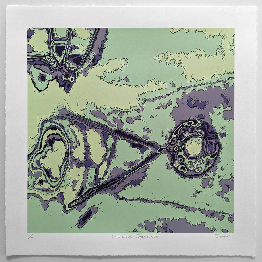 Capricious Tumescence Variant Two Edition limited edition screen print by John Dobbie