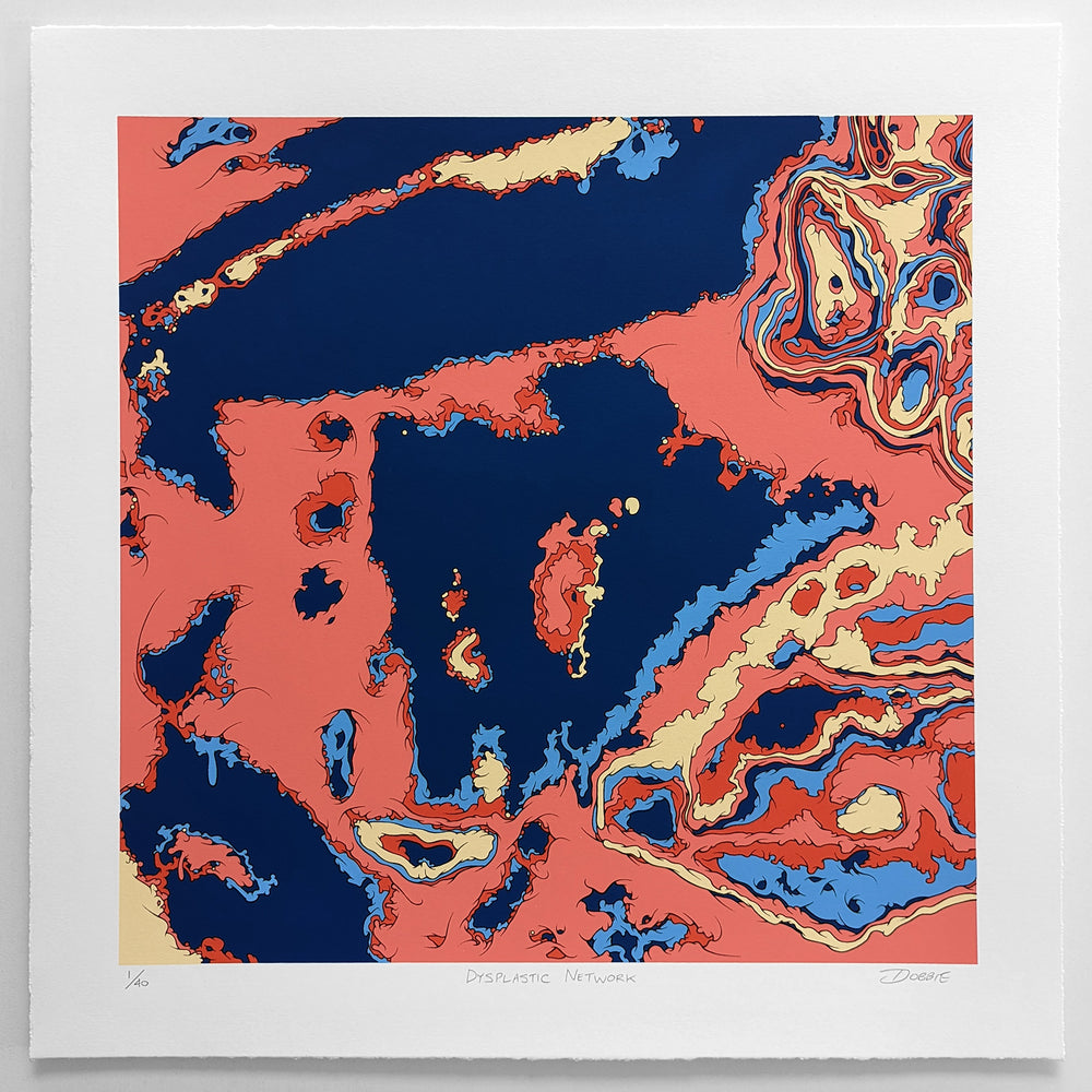 Dysplastic Network Variant One Edition limited edition screen print by John Dobbie