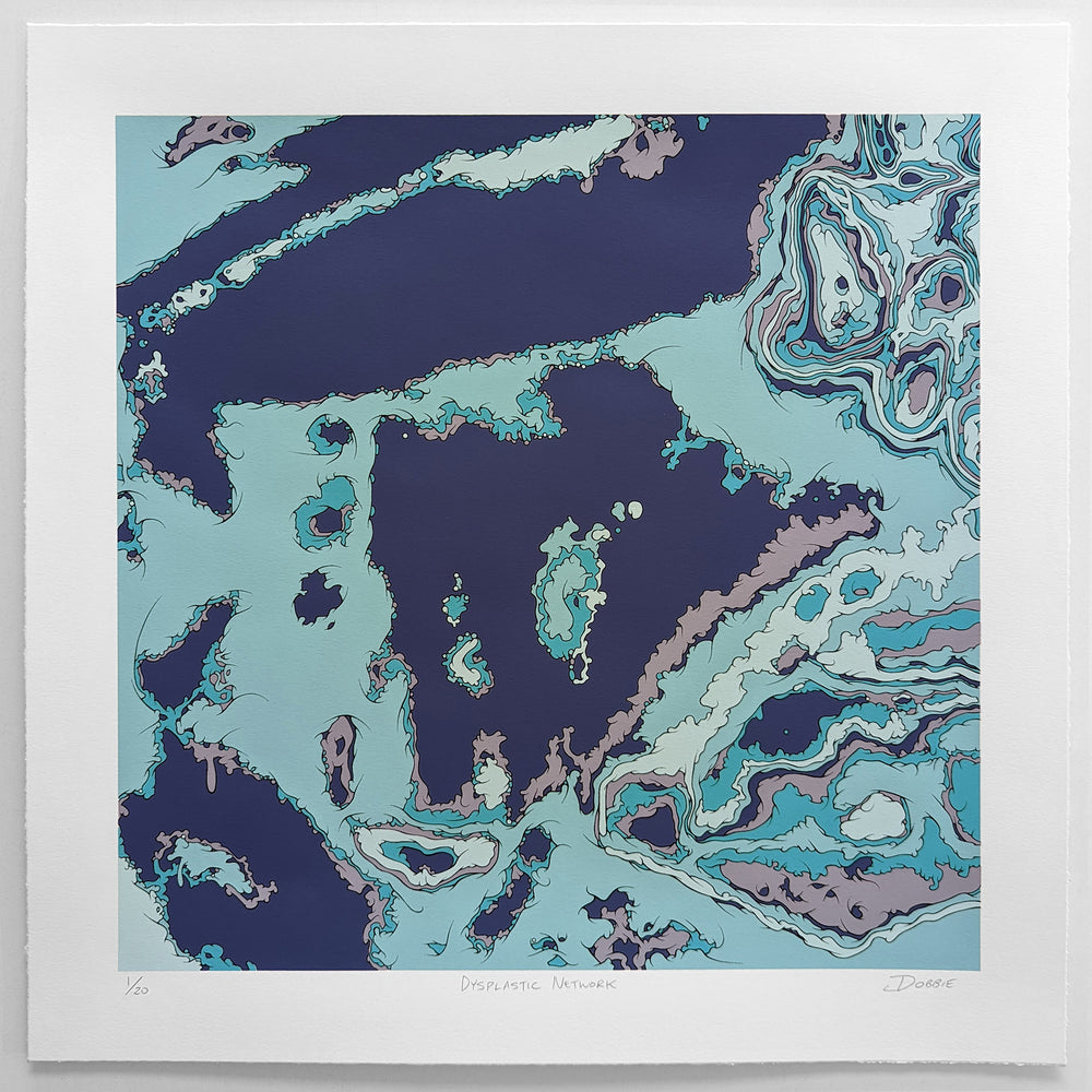 Dysplastic Network Variant Two Edition limited edition screen print by John Dobbie
